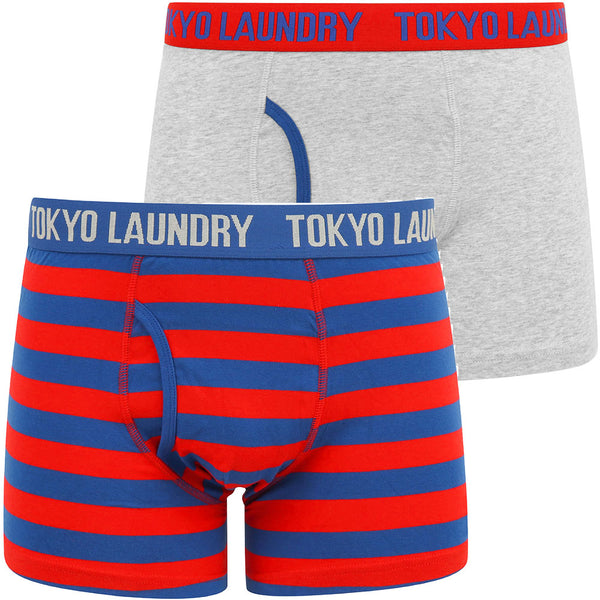 Arlo (2 Pack) Striped Boxer Shorts Set in Barados Cherry / Light Grey Marl - Tokyo Laundry