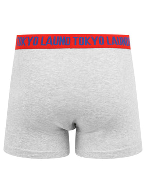Arlo (2 Pack) Striped Boxer Shorts Set in Barados Cherry / Light Grey Marl - Tokyo Laundry