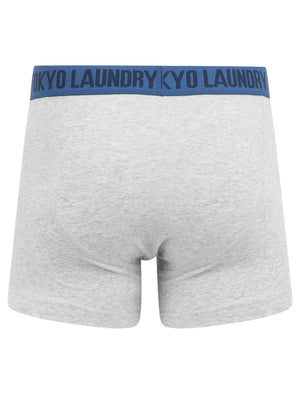 Arlo (2 Pack) Striped Boxer Shorts Set in Washed Blue / Light Grey Marl - Tokyo Laundry