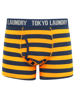 Arlo (2 Pack) Striped Boxer Shorts Set in Zinna Orange / Light Grey Marl - Tokyo Laundry