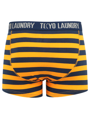 Arlo (2 Pack) Striped Boxer Shorts Set in Zinna Orange / Light Grey Marl - Tokyo Laundry