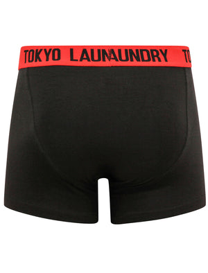 Brewster (2 Pack) Boxer Shorts Set in High Risk Red / Sea Surf Blue - Tokyo Laundry