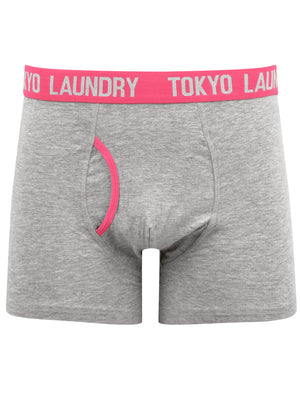 Brewster (2 Pack) Boxer Shorts Set in Jolly Green / Beetroot Pink - Tokyo Laundry