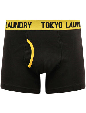Brewster (2 Pack) Boxer Shorts Set in Lemon Chrome / Blue Atoll - Tokyo Laundry