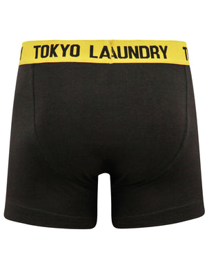 Brewster (2 Pack) Boxer Shorts Set in Lemon Chrome / Blue Atoll - Tokyo Laundry
