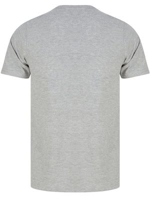 Dakota Speedsters Motif Cotton Jersey T-Shirt in Light Grey Marl - Tokyo Laundry