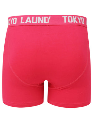 Edward (2 Pack) Boxer Shorts Set in Blue Fog / Bright Rose - Tokyo Laundry
