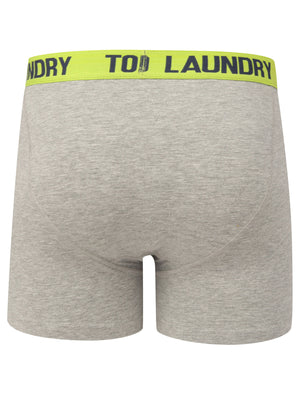 Grays (2 Pack) Boxer Shorts Set in Lime Green / Mood Indigo - Tokyo Laundry