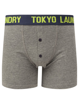 Grays (2 Pack) Boxer Shorts Set in Lime Green / Mood Indigo - Tokyo Laundry