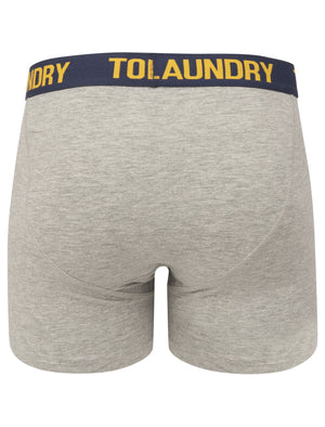 Grays (2 Pack) Boxer Shorts Set in Mood Indigo / Artisans Gold - Tokyo Laundry