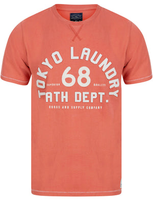 Hambert Felt Motif Cotton Jersey T-Shirt In Faded Peach - Tokyo Laundry