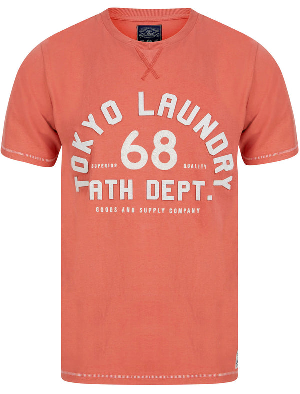 Hambert Felt Motif Cotton Jersey T-Shirt In Faded Peach - Tokyo Laundry