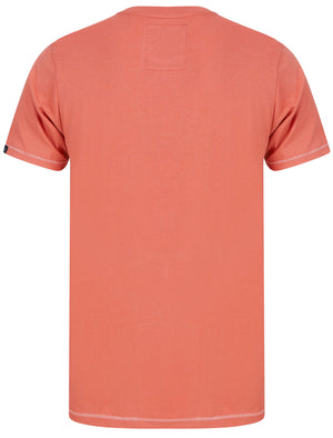 Hambert Felt Motif Cotton Jersey T-Shirt In Faded Peach - Tokyo Laundry