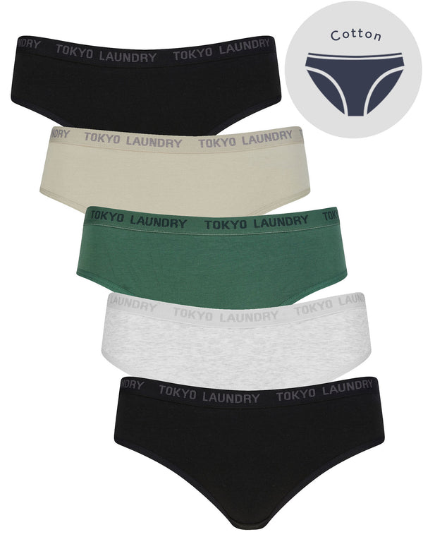 Hudson (5 Pack) Cotton Assorted Briefs in Black / Abbey Stone / Cilantro / Light Grey Marl - Tokyo Laundry