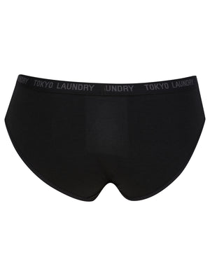 Hudson (5 Pack) Cotton Assorted Briefs in Black / Abbey Stone / Cilantro / Light Grey Marl - Tokyo Laundry
