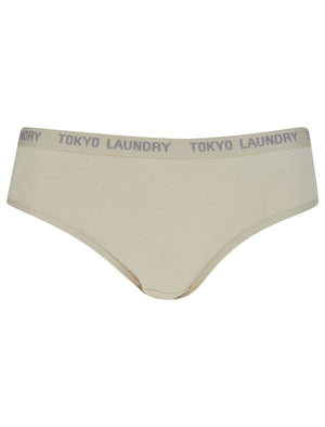 Hudson (5 Pack) Cotton Assorted Briefs in Black / Abbey Stone / Cilantro / Light Grey Marl - Tokyo Laundry