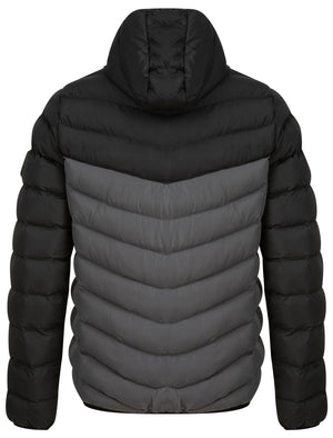 Kanora Colour Block Quilted Puffer Jacket with Hood in Jet Black - Tokyo Laundry