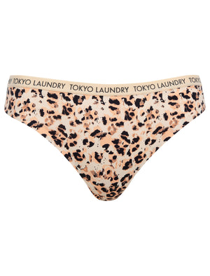 Keller (3 Pack) Leopard Print No VPL Seam Free Assorted Thongs in Nine Iron / Nude / Appleblossom - Tokyo Laundry