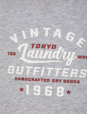 Boys Ribba Motif Brushback Fleece Pullover Hoodie in Light Grey Marl - Tokyo Laundry Kids