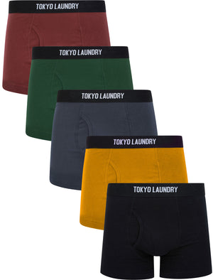 Koman (5 Pack) Cotton Sports Boxer Shorts Set in Autumn - Tokyo Laundr –  Tokyo Laundry