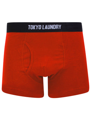 Koman (5 Pack) Cotton Sports Boxer Shorts Set in Bright - Tokyo Laundry