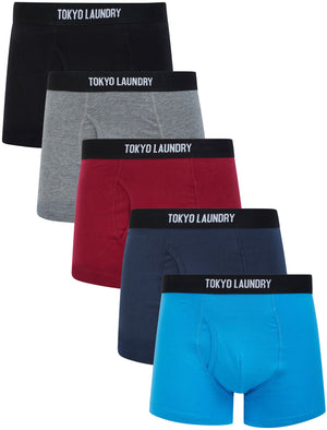 Mixed Color Cotton Colorful Everyday Boxer Briefs 7 Pack