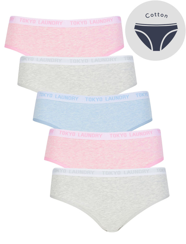 Lawson (5 Pack) Cotton Assorted Briefs in Pink Marl / Grey Marl / Light Blue Marl - Tokyo Laundry