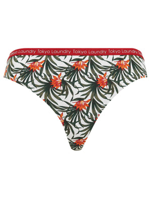 Morella (3 Pack) No VPL Seam Free Assorted Thongs in Deep Lichen Green / Red Dahlia / Egret Ivory - Tokyo Laundry