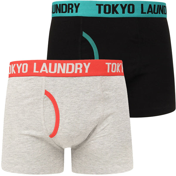 Nevern 2 (2 Pack) Boxer Shorts Set in River Green / High Risk Red - Tokyo Laundry