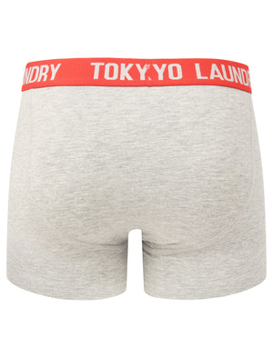 Nevern 2 (2 Pack) Boxer Shorts Set in River Green / High Risk Red - Tokyo Laundry
