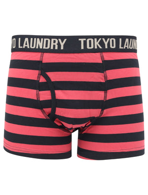 Newburgh 2 (2 Pack) Striped Boxer Shorts Set in Baroque Rose / Navy - Tokyo Laundry