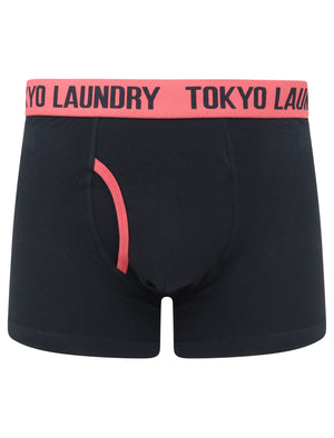 Newburgh 2 (2 Pack) Striped Boxer Shorts Set in Baroque Rose / Navy - Tokyo Laundry