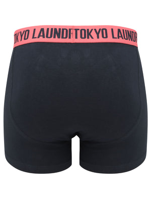 Newburgh 2 (2 Pack) Striped Boxer Shorts Set in Baroque Rose / Navy - Tokyo Laundry