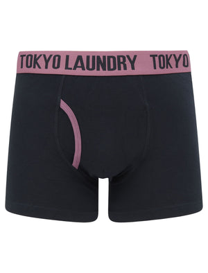 Newburgh 2 (2 Pack) Striped Boxer Shorts Set in Grape Jam / Navy - Tokyo Laundry