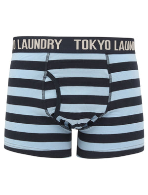 Newtown 2 (2 Pack) Striped Boxer Shorts Set in Allure Blue / Light Grey Marl - Tokyo Laundry
