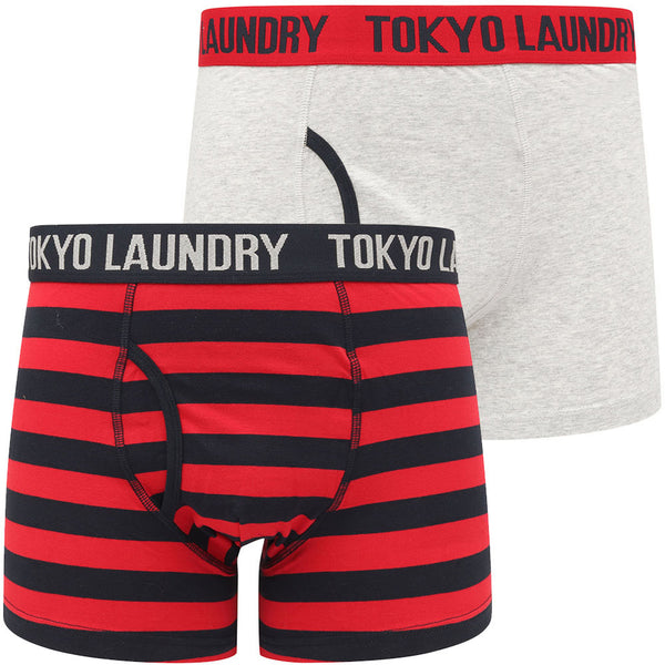 Newtown 2 (2 Pack) Striped Boxer Shorts Set in Scarlet Sage / Light Grey Marl - Tokyo Laundry