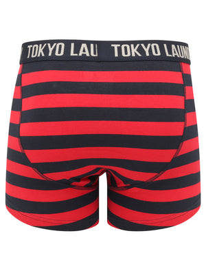 Newtown 2 (2 Pack) Striped Boxer Shorts Set in Scarlet Sage / Light Grey Marl - Tokyo Laundry