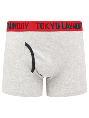 Newtown 2 (2 Pack) Striped Boxer Shorts Set in Scarlet Sage / Light Grey Marl - Tokyo Laundry