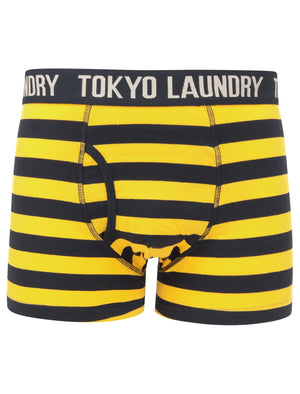 Newtown 2 (2 Pack) Striped Boxer Shorts Set in Solar Yellow / Light Grey Marl - Tokyo Laundry