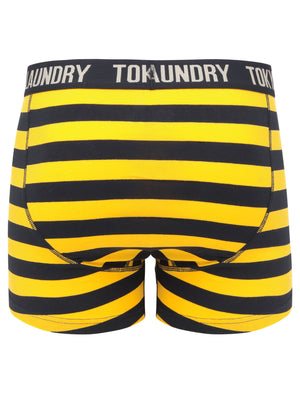 Newtown 2 (2 Pack) Striped Boxer Shorts Set in Solar Yellow / Light Grey Marl - Tokyo Laundry