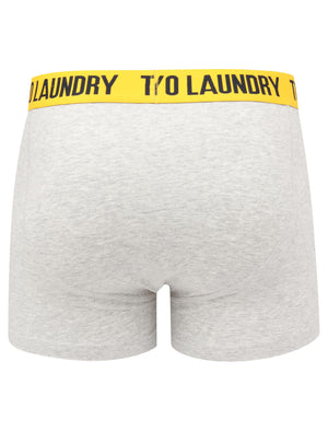 Newtown 2 (2 Pack) Striped Boxer Shorts Set in Solar Yellow / Light Grey Marl - Tokyo Laundry