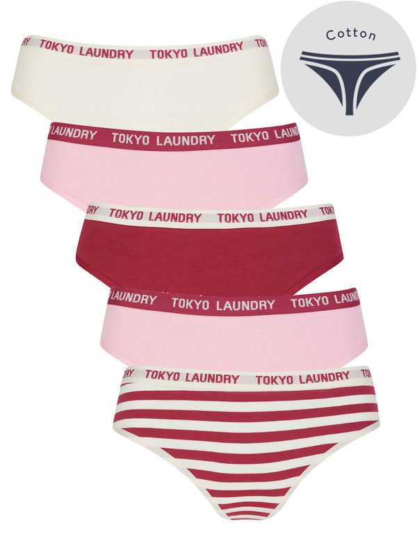 North (5 Pack) Cotton Assorted Thongs in Whisper White / Roseate Spoonbill / Anemone - Tokyo Laundry