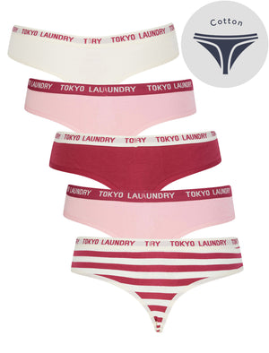 North (5 Pack) Cotton Assorted Thongs in Whisper White / Roseate Spoonbill / Anemone - Tokyo Laundry