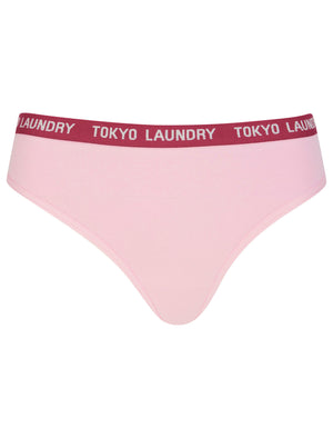 North (5 Pack) Cotton Assorted Thongs in Whisper White / Roseate Spoonbill / Anemone - Tokyo Laundry