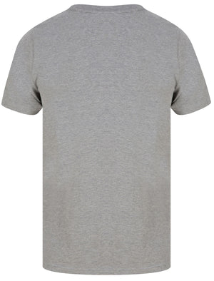 Original Flyer Motif Cotton Jersey T-Shirt in Mid Grey Marl - Tokyo Laundry