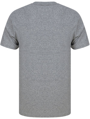 Oval Motif Cotton Jersey Grindle T-Shirt In Light Grey - Tokyo Laundry