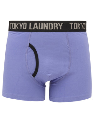 Paget (2 Pack) Boxer Shorts Set In Baja Blue / Sachet Pink - Tokyo Laundry