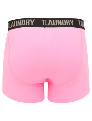 Paget (2 Pack) Boxer Shorts Set In Baja Blue / Sachet Pink - Tokyo Laundry