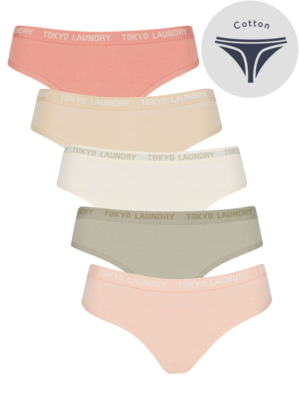 Pampass (5 Pack) Cotton Assorted Thongs in Rose Dawn / Smoke Gray / Pastel Parchmen / Abbey Stone / Rose Smoke - Tokyo Laundry