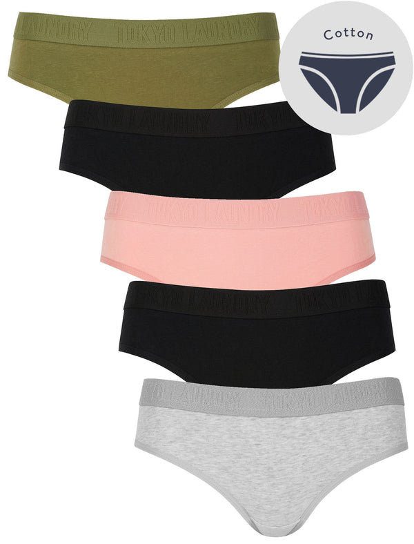 Roo (5 Pack) Cotton Assorted Briefs in Khaki / Black / Blush Pink / Light Grey Marl - Tokyo Laundry